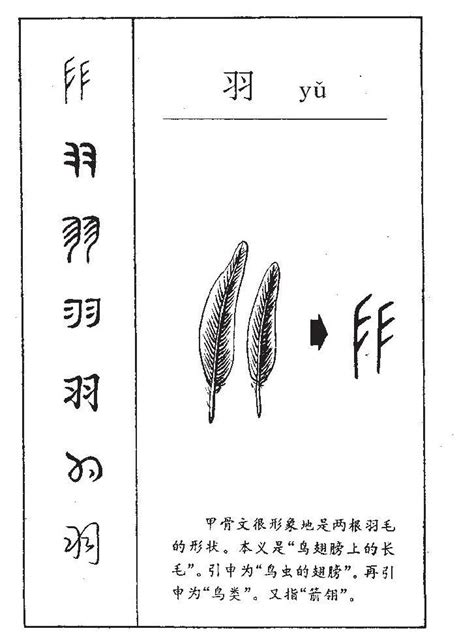 嚴格 同義詞 帶羽的字